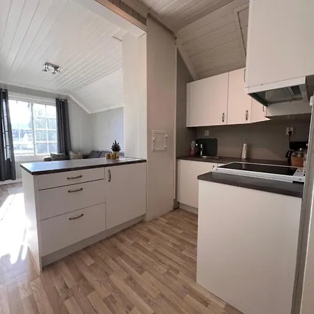 Central Apartment Notodden Exterior photo