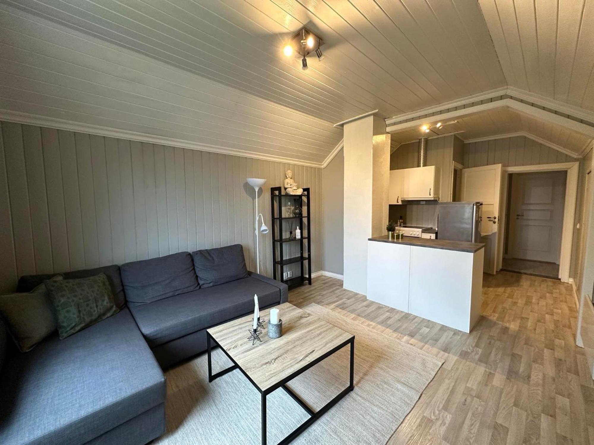 Central Apartment Apartment Notodden